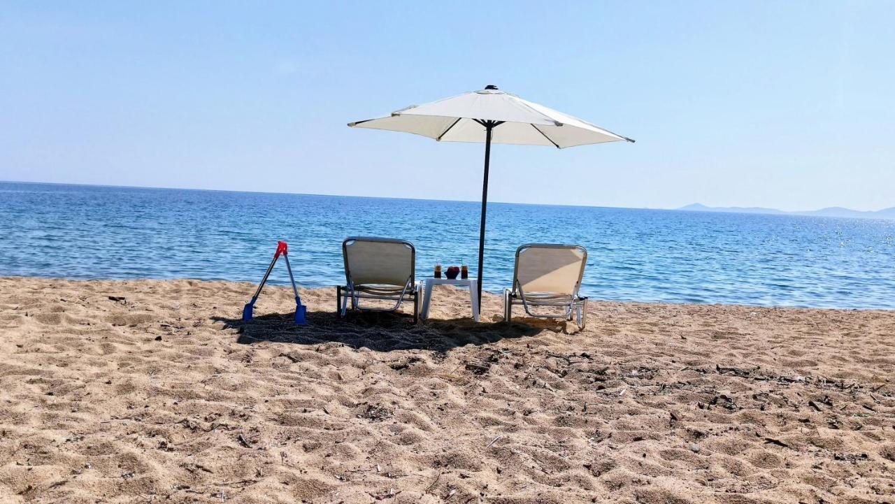 فيلا Xd Al Mare إيريسوس المظهر الخارجي الصورة